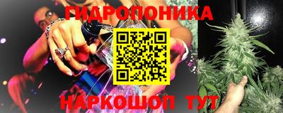 таблы Можга
