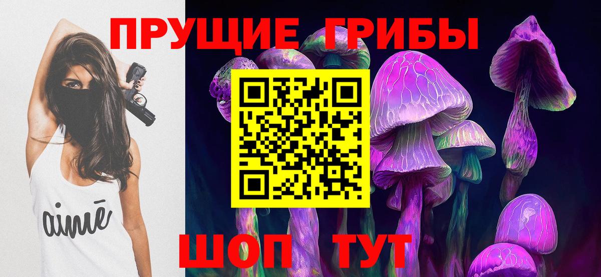 дарнет шоп  Вход с VPN  Хасавюрт  Псилоцибиновые грибы Psilocybine cubensis 